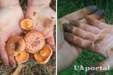 Как отмыть руки от запаха и следов грибов