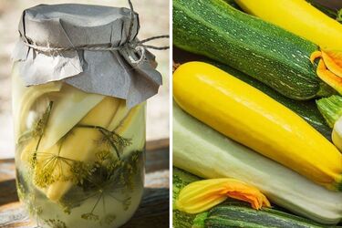 Малосольные цуккини в банке: как приготовить