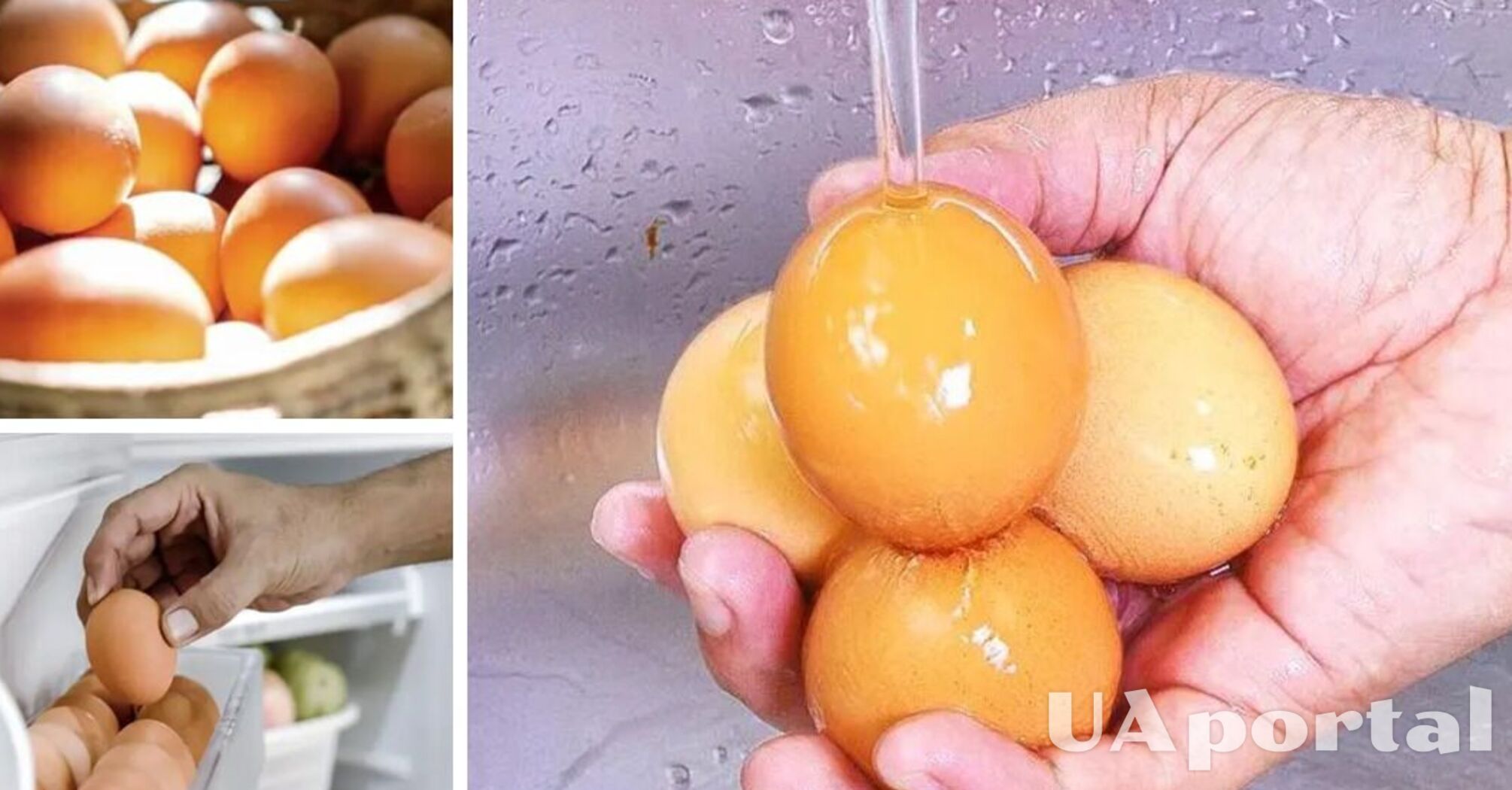 This is dangerous: never wash eggs before putting them in the refrigerator