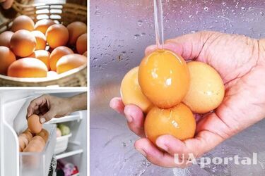 Це небезпечно: ніколи не мийте яйця перед тим, як покласти в холодильник