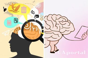 Как улучшить память: четыре действенные тренировки от британского психолога