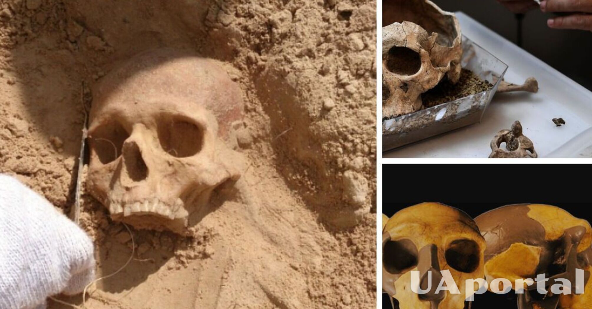 В Китае нашли удивительный череп, которому сотни тысяч лет (фото)