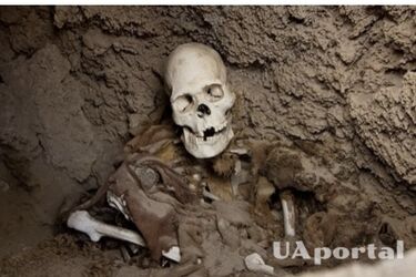 Археологи обнаружили на городище в Шотландии 2 скелета, состоявших из остатков шести разных людей