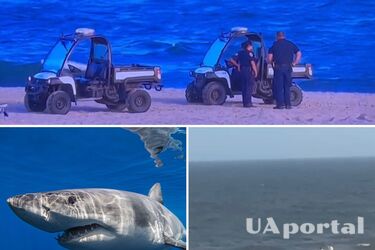 На популярному пляжі у США акула атакувала 50-річну жінку (відео)