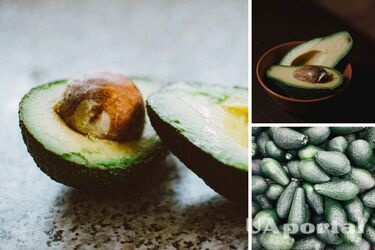 Партию токсичных авокадо завезли в Украину из Перу