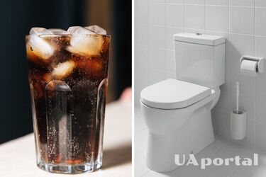 Як вивести накип з унітазу без хімії - як очистити унітаз та зробити його білим