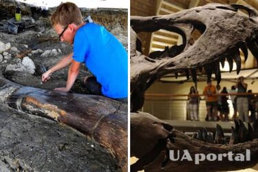 The world's largest 140 million years old dinosaur bone found in France