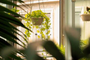 Як створити кімнатний підвісний кошик для рослин: три простих кроки