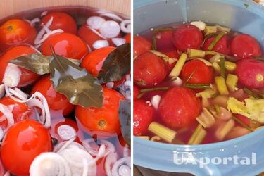 Як заквасити помідори у відрі