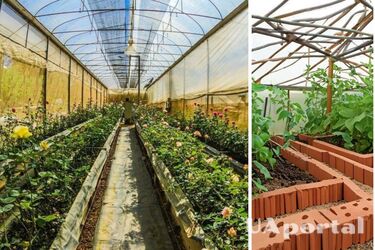 Зачем класть кирпич в теплицу