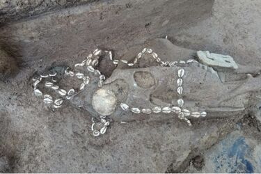 В Китае был найден масштабный комплекс гробниц времен поздней династии Шан в 1600 году до н.э.