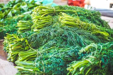 Для чего нужно повесить укроп над входной дверью: раскрываем секреты