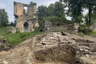 У польському замку знайшли 500-річну настільну гру, в яку любив грати Конфуцій (фото)