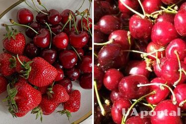 С какого возраста детям можно есть черешню, вишню и клубнику