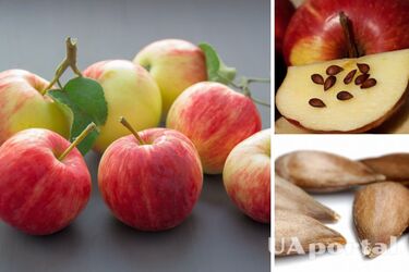 Zagrożenie zatruciem cyjankiem: których owoców nie należy jeść z pestkami?