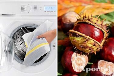 Why wash clothes with chestnuts in the washing machine