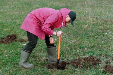 Як доглядати за городом восени: поради для щедрого врожаю наступного року