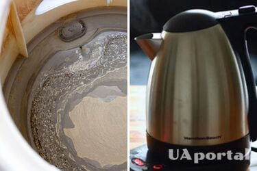 How to quickly get rid of scale in a kettle: folk methods