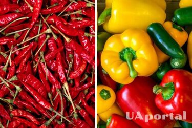 Як правильно зберігати болгарський перець та гострий перець, щоб він довго не псувався - прості поради