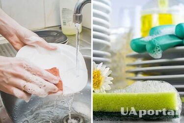 Домашнее средство для мытья посуды: как его приготовить