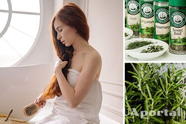 Чем полезен розмарин – полезные свойства розмарина для волос