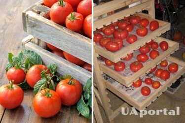 Як правильно зберігати помідори, щоб вони довго не псувалися