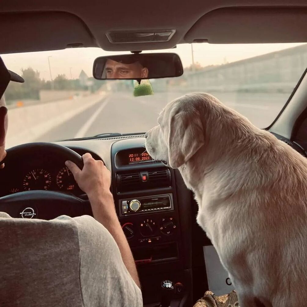 Путешествия Киев – Одесса. Лучшие повороты с трассы во время автомобильной поездки