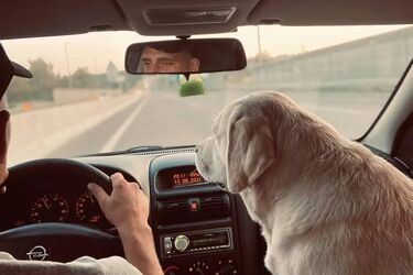 Путешествия Киев – Одесса. Лучшие повороты с трассы во время автомобильной поездки