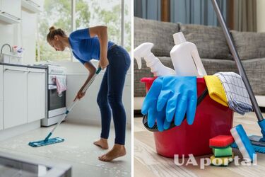 Housewives named the most effective budget tool for cleaning all surfaces with activated carbon