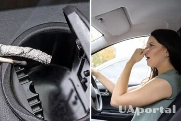 Ароматизатори для авто з натуральних інгредієнтів - що робити, щоб в машині добре пахло