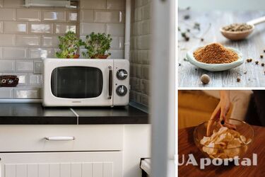 Як використати мікрохвильовку - цікаві способи використання мікрохвильової печі
