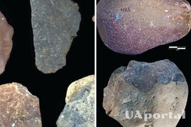 У Кенії знайшли кам‘яне знаряддя праці віком 3 мільйони років: найдавніше, яке коли-небудь використовувало людство 