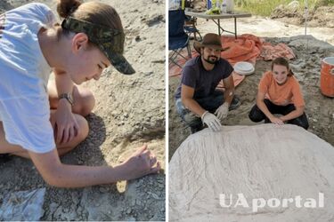 У США знайшли череп кита віком 34 млн років (фото)