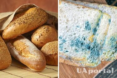Як зберігати хліб, щоб він не псувався і не черствів максимально довго
