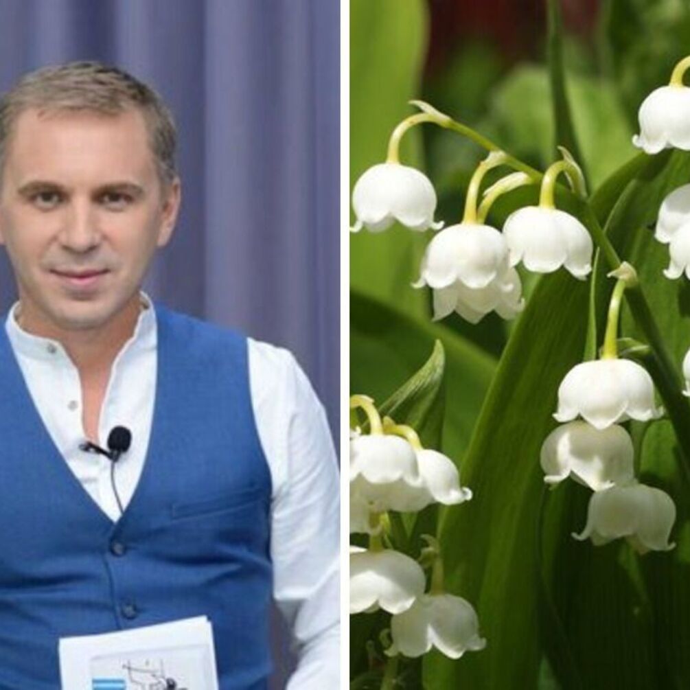 'Ландиші', 'одуванчики', 'сірєнь': Авраменко объяснил, как на украинском будут названия цветов