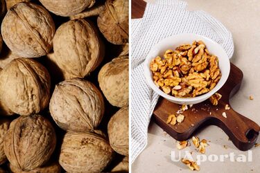 Як зберігати горіхи всю зиму - правила зберігання горіхів