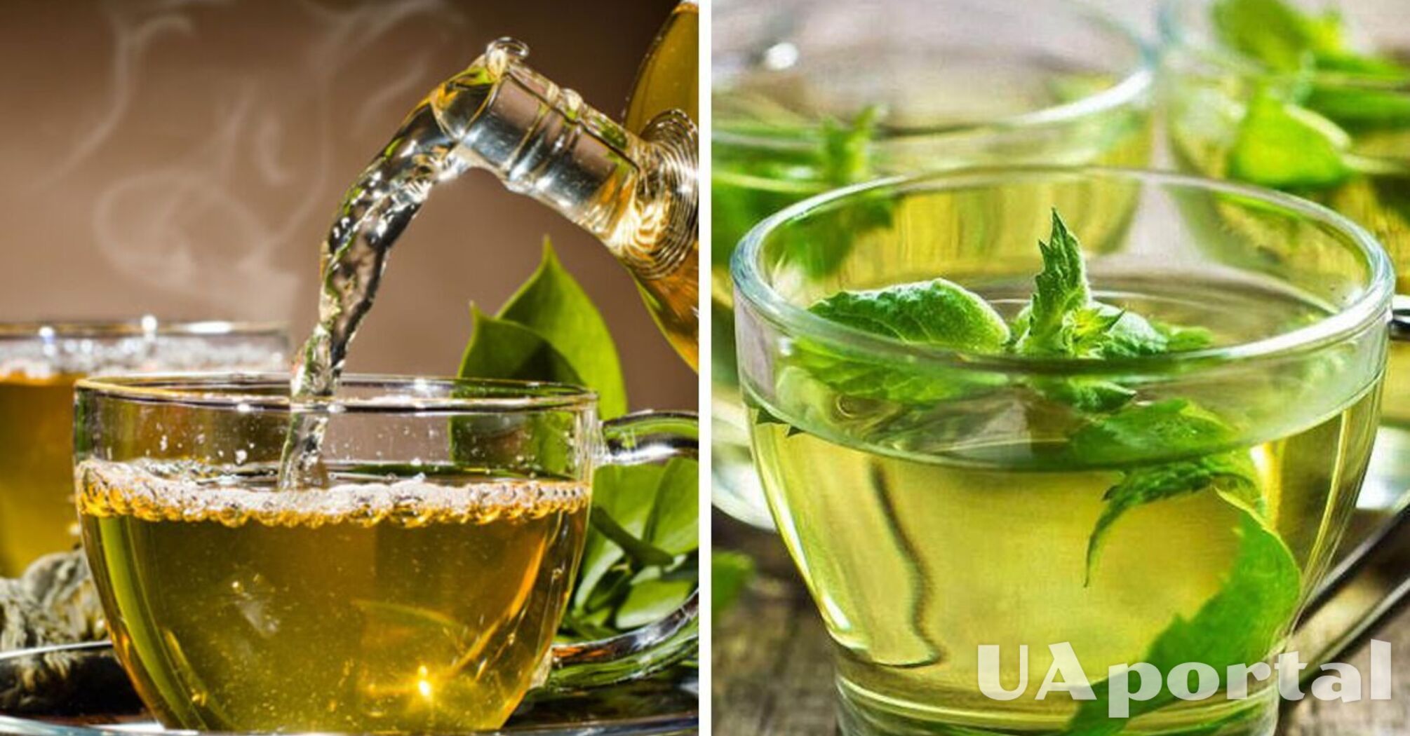 Как правильно заваривать и пить зеленый чай