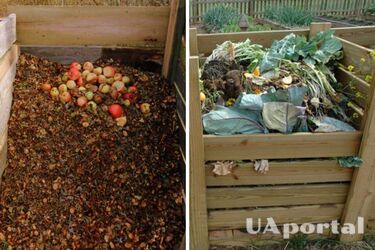 Як зробити компост з хворого бадилля та яблук