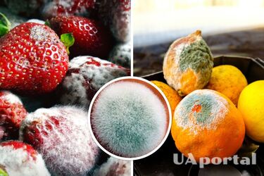 Lekarze wyjaśniają, co dzieje się z ciałem po zjedzeniu żywności z pleśnią