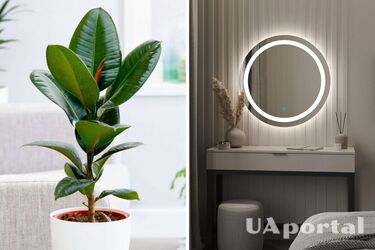 Violating family harmony: what three things should be removed from the bedroom