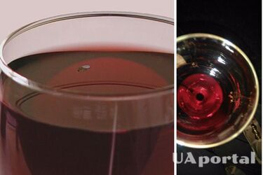 Можно ли пить вино, в котором была муха