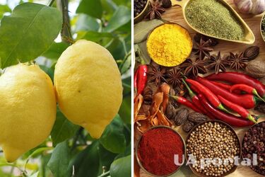 Не злоупотребляйте этой пищей: три продукта, которые плохо влияют на желудок