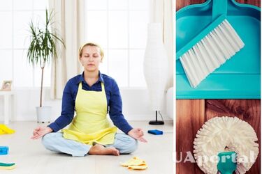 Почему нельзя убирать колой, таблетками для посудомоечной машины и лимоном