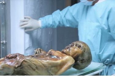 Вчені прослідкували останній шлях людини доби енеоліту, яка загинула 5300 років тому