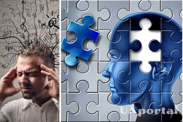 Что такое жамевю