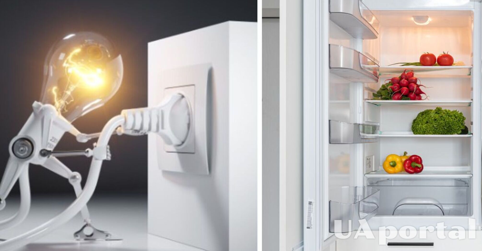 Как сэкономить на коммуналке, пользуясь холодильником – как платить за свет меньше