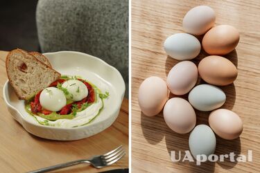 Як зберігати варені яйця у холодильнику - скільки зберігаються варені яйця - Скільки часу можна зберігати варені яйця