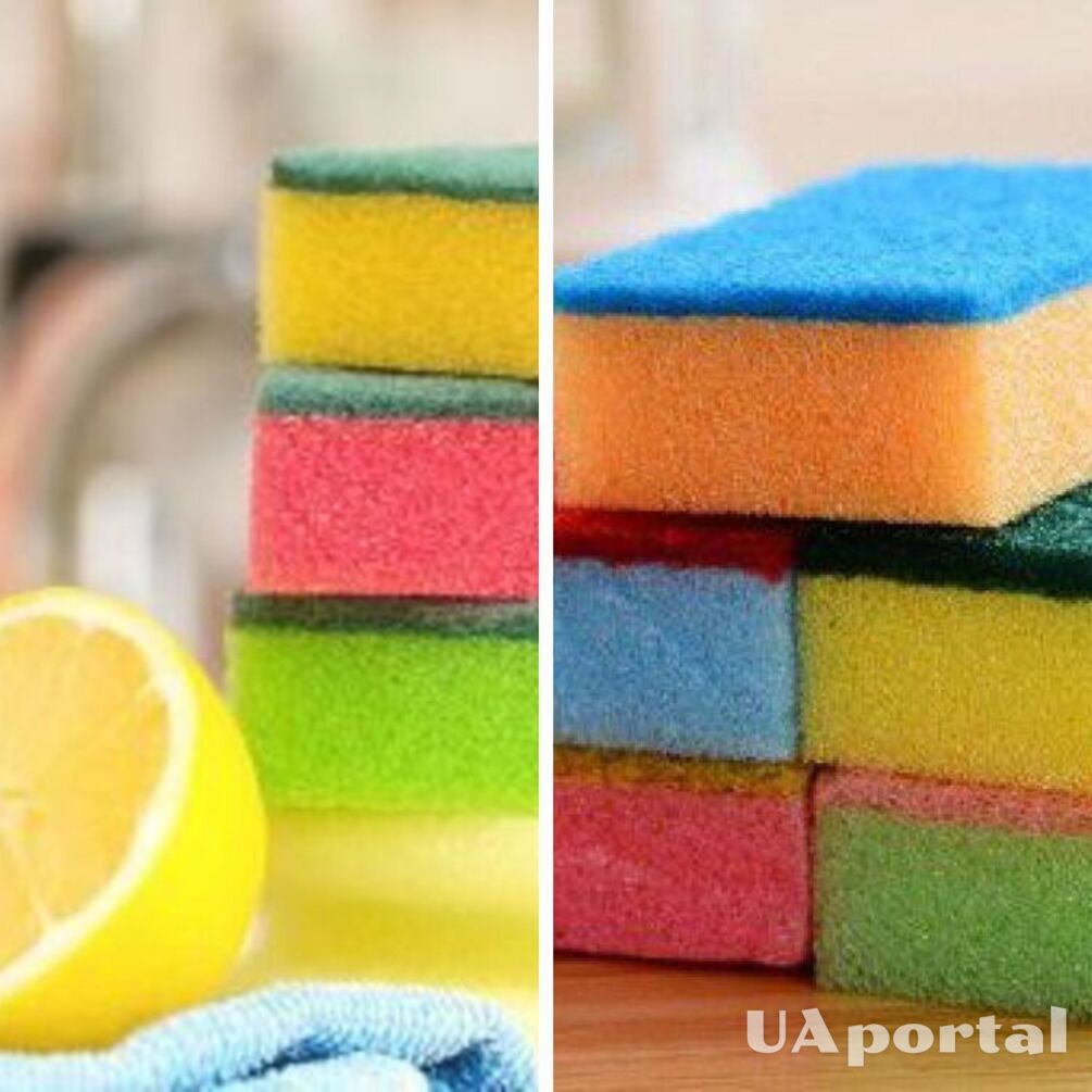 Ви цього не знали: чому губки для миття посуду мають різний колір