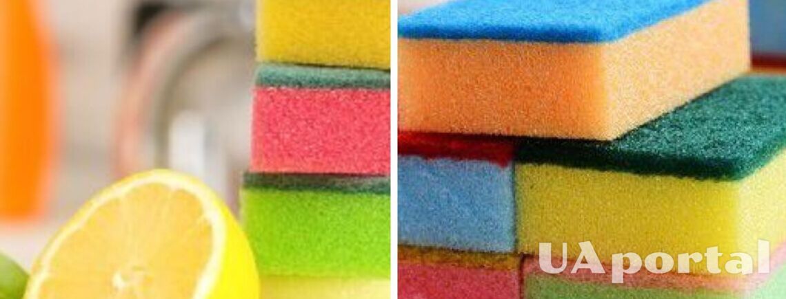 Вы этого не знали: почему губки для мытья посуды имеют разный цвет