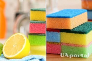 You didn't know this: why dishwashing sponges have different colors